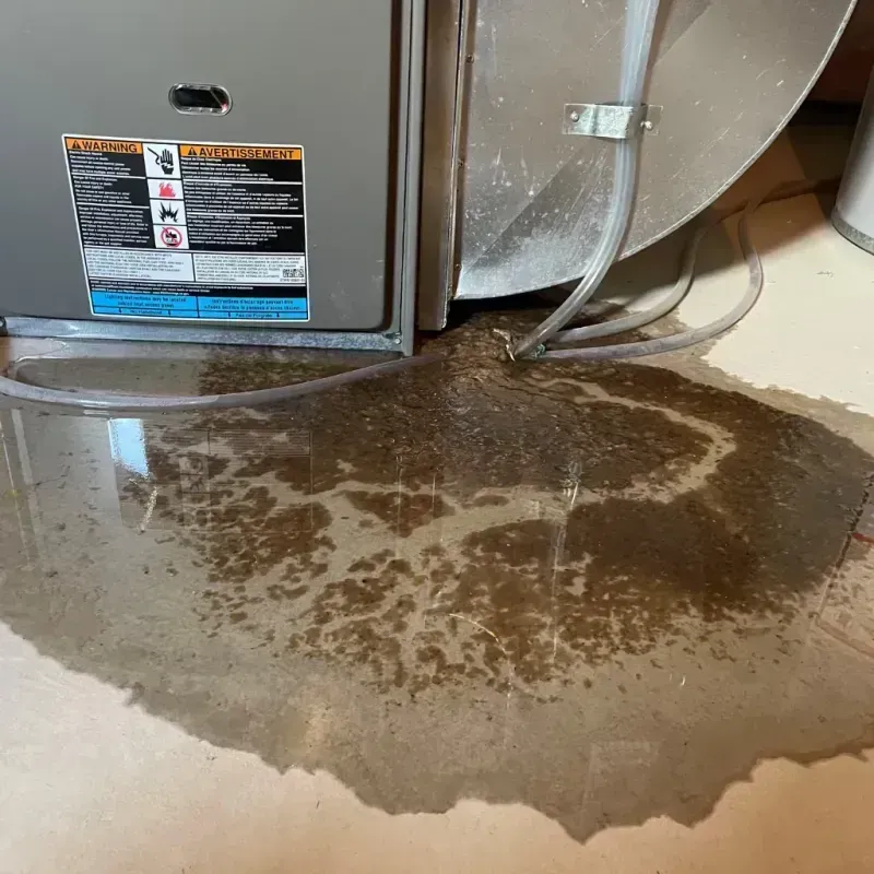 Appliance Leak Cleanup in Elkhorn, WI